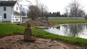 Stillness at the pond